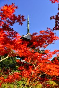ito_0261.jpg