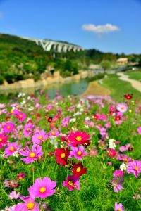 ito_0520.jpg