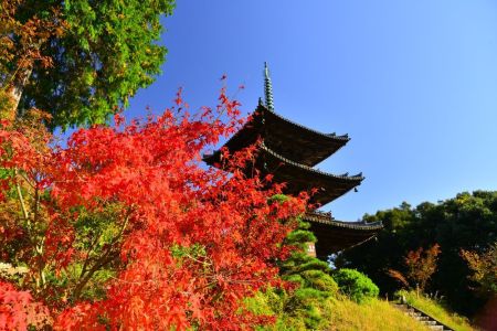 ito_0241.jpg