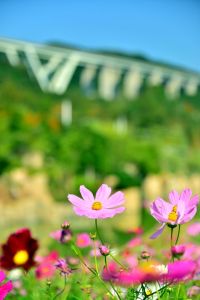 ito_0506.jpg