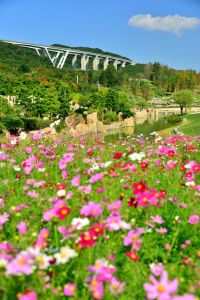 ito_0515.jpg