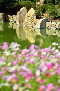 ito_0647.jpg