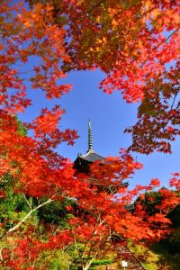 ito_0311.jpg