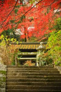 ito_0025.jpg