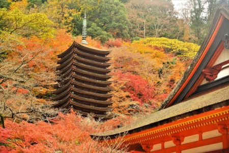 ito_0464.jpg