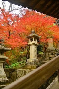 ito_0043.jpg