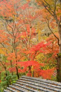 ito_0076.jpg