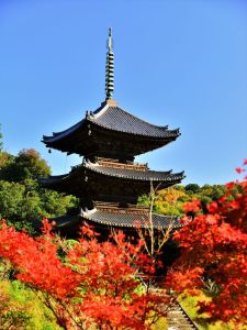 ito_0329.jpg