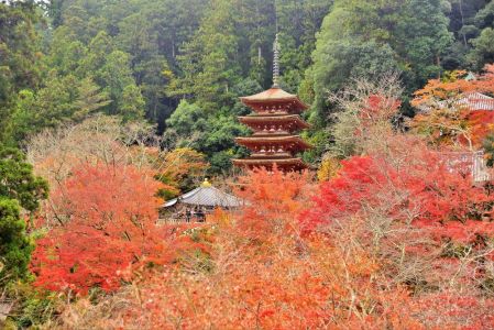 ito_0092.jpg