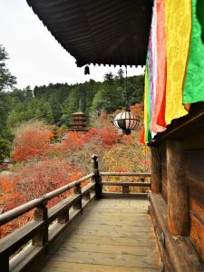 ito_0102.jpg