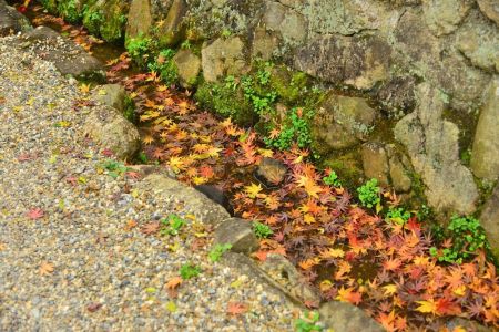 ito_0570.jpg