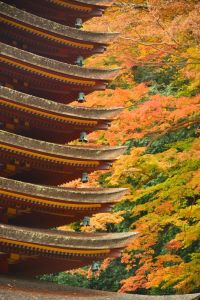 ito_0262.jpg