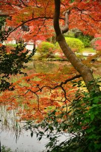ito_0495.jpg