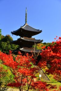 ito_0182.jpg