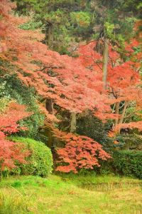 ito_0483.jpg