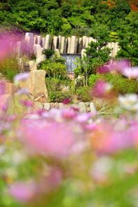 ito_0623.jpg
