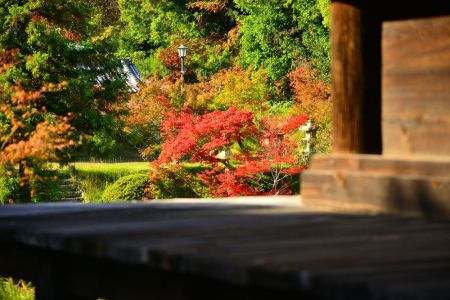 ito_0227.jpg