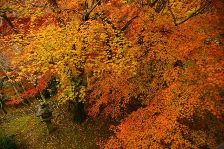 ito_0410.jpg