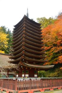 ito_0245.jpg