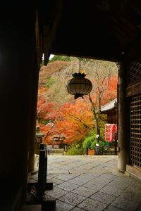 ito_0073.jpg
