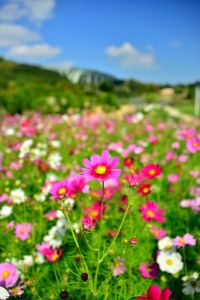 ito_0607.jpg