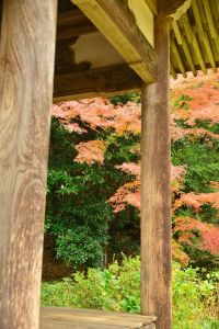 ito_0539.jpg