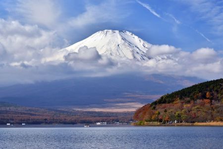 202111fujii12.JPG