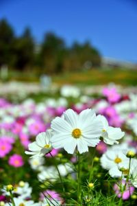 ito_0374.jpg