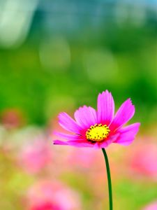 ito_0512.jpg