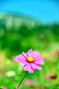 ito_0509.jpg