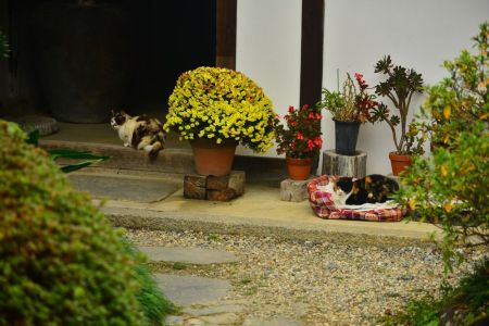 ito_0550.jpg