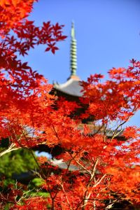 ito_0264.jpg