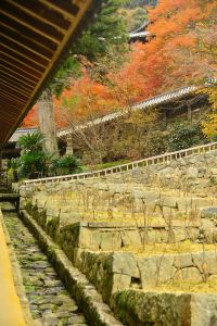 ito_0006.jpg