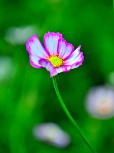 ito_0589.jpg