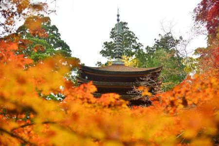 ito_0277.jpg