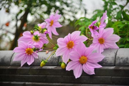 ito_0563.jpg