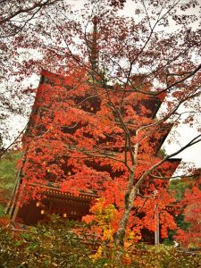 ito_0142.jpg