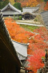 ito_0083.jpg