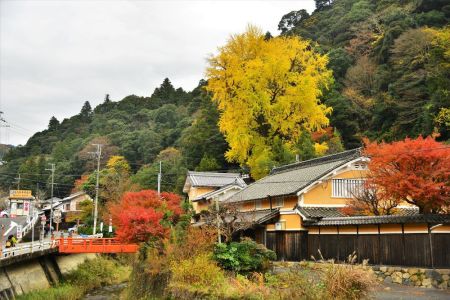 ito_0193.jpg