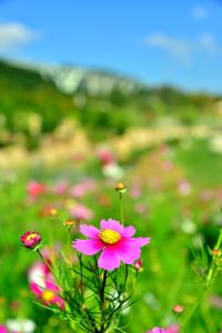 ito_0550.jpg