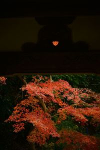 ito_0537.jpg