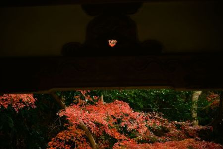 ito_0533.jpg