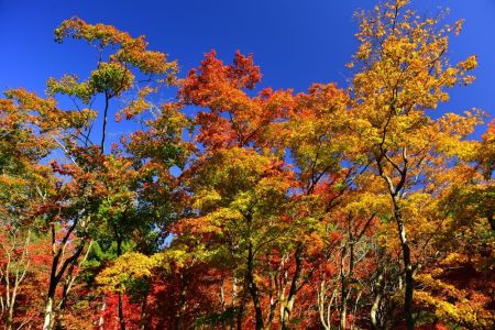 ito_0301.jpg