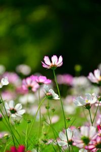 ito_0568.jpg