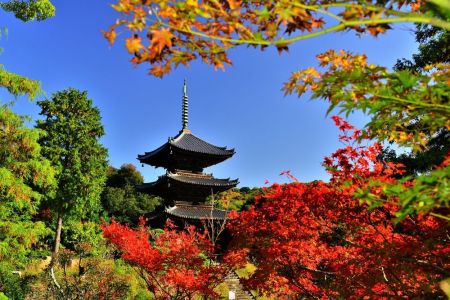 ito_0358r.jpg