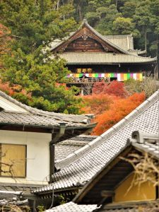 ito_0177.jpg