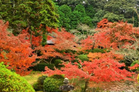 ito_0524.jpg