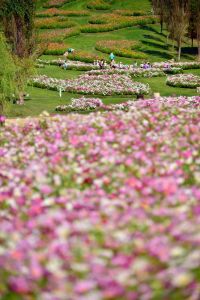 ito_0490.jpg