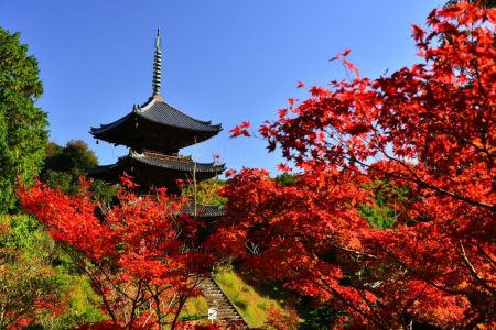 ito_0205.jpg
