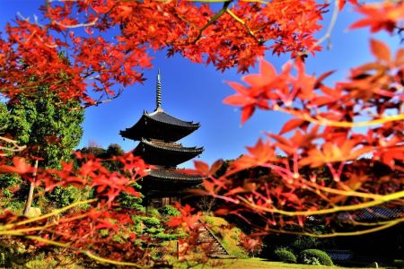 ito_05200.jpg